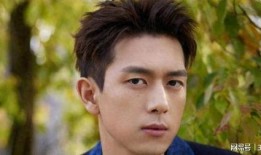 娱乐圈男星爆料,揭秘明星圈层背后的真相