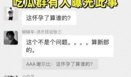 吃瓜wx聊天记录免费,一场关于日常琐事的趣味对话盛宴