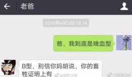 爆料新闻搞笑视频,笑料百出！揭秘爆料新闻搞笑视频幕后花絮