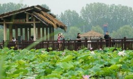 高州荷塘爆料案件最新,真相渐明，疑云散去，警方全力追查”