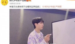 严浩翔被爆料了吗视频下载,真相揭秘与网络热议