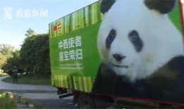 熊猫明星爆料视频