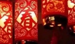 漂泊小年爆料视频,视频爆料背后的故事与真相