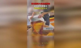 食品视频爆料大全最新,最新视频爆料大全深度解析