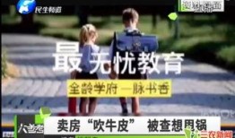 平乐勇哥爆料视频大全集,揭秘幕后真相，带你走进真实世界