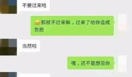 吃瓜wx聊天记录免费,一场关于日常琐事的趣味对话盛宴