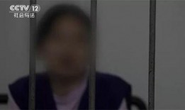 武汉野猪爆料事件始末视频,真相与争议的交织