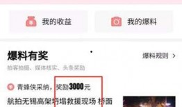 香港爆料头条视频大全,揭秘视频大全背后的真相与热点