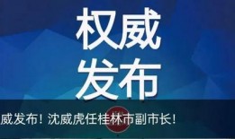 桂林新闻 爆料,爆料的背后，揭秘桂林最新热点事件
