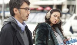 色戒97在线观看,激情燃烧的岁月，揭秘民国风云中的爱恨情仇