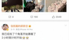 张凯毅小红书爆料视频是真的吗,张凯毅小红书爆料视频真实性揭秘