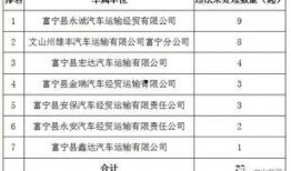 文山最新爆料台,揭秘幕后真相，带你走进事件核心