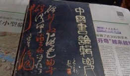 爆料月子护理店视频大全,视频大全带你了解产后护理全貌