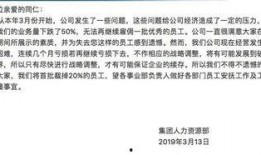 公司裁员最新的爆料新闻,最新爆料揭示公司大规模裁员内幕