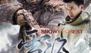 雪海电视剧在线观看,穿越冰雪的浪漫传奇