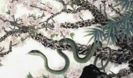 六月的蛇在线观看,六月的蛇在线观看之旅