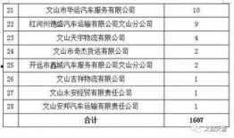 文山最新爆料台,揭秘幕后真相，带你走进事件核心