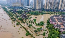 重庆市合川区新闻爆料,聚焦当地热点事件，揭示社会现象