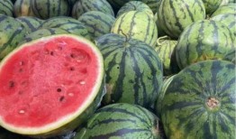 网红吃瓜12月,12月热点事件大盘点