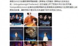 泰国博主爆料事件视频大全,揭秘背后真相与争议