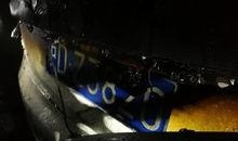 爆料海豚自燃事件视频,揭秘海洋生物的惊悚之谜