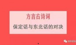 爆料保定话视频,揭秘本土话视频中的地道风情