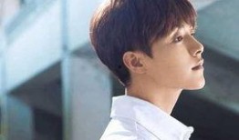 娱乐吃瓜君马天宇,娱乐圈的“吃瓜”达人，揭秘明星幕后故事