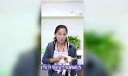 随风娱乐爆料是真的吗,随风娱乐爆料真实性揭秘