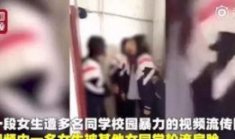 副教授爆料被打视频大全,校园暴力真相揭露
