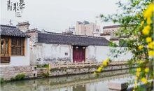 青果巷在线观看,穿越时空的江南水乡风情之旅