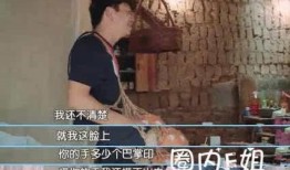 老马老婆爆料视频大全下载,揭秘不为人知的幕后故事