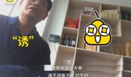 传销大师爆料视频大全,视频大全背后的惊人内幕