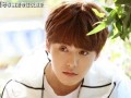 娱乐吃瓜君马天宇,娱乐圈的“吃瓜”达人，揭秘明星幕后故事