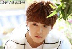 娱乐吃瓜君马天宇,娱乐圈的“吃瓜”达人，揭秘明星幕后故事