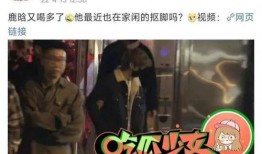 狗仔爆料七点半视频大全,七点半视频大全幕后揭秘