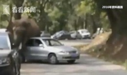 玩车网红爆料视频大全,揭秘汽车圈幕后故事