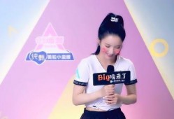 刘些宁采访爆料视频,揭秘幕后故事与心路历程