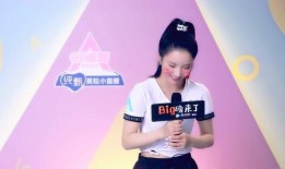 刘些宁采访爆料视频,揭秘幕后故事与心路历程