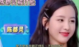 邓为陈都灵爆料视频,揭秘娱乐圈幕后真相