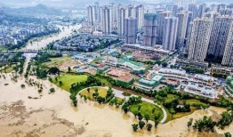 重庆市合川区新闻爆料,聚焦当地热点事件，揭示社会现象