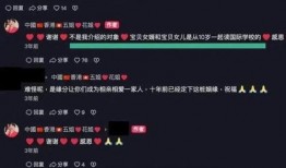 蔡天凤最新爆料消息视频,揭秘事件背后惊人真相