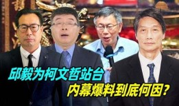 邱毅爆料柯文哲视频全集,全集内容深度解析