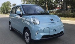 雷丁电车爆料视频最新版,揭秘神秘功能与性能升级