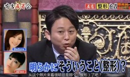 爆料日本娱乐公司犯法吗,法律边界何在？