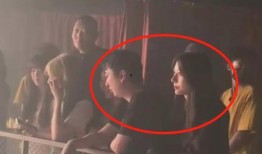 成县网红吃瓜事件真相,真相背后的网络狂欢与反思