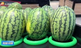 潍坊吃瓜网红事件,揭秘网络舆论的风暴与真相