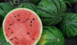 潍坊吃瓜网红事件,揭秘网络舆论的风暴与真相