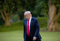 特朗普后院爆料视频大全,揭秘白宫幕后真相