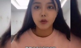 韩安冉前夫小猪爆料视频,揭秘婚姻内幕与情感纠葛