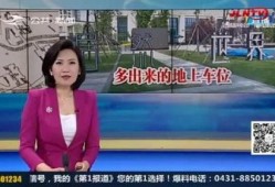 返厂最新爆料视频下载,揭秘神秘视频背后的技术革新与产业变革